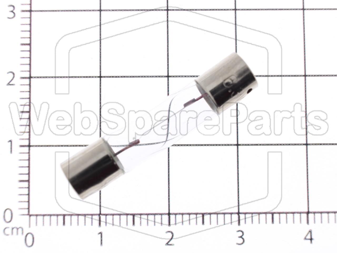 Incandescent Lamp Axial 12.6 Volts 300mA Ø 6.3 mm x 31 mm