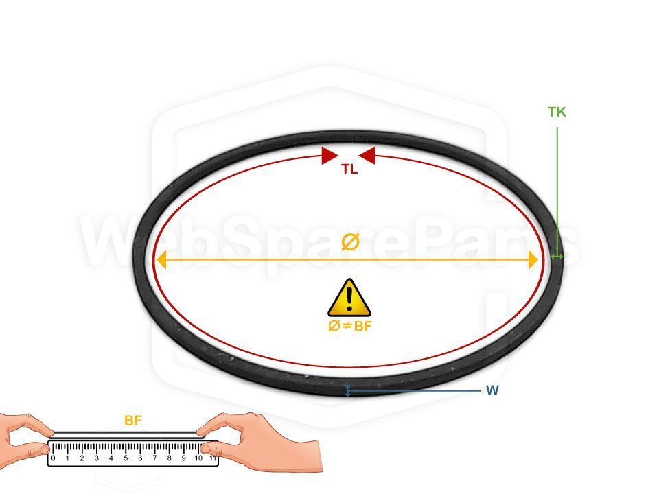 SQ2.5 Square Belt – 0." thick – Total Length 2.5