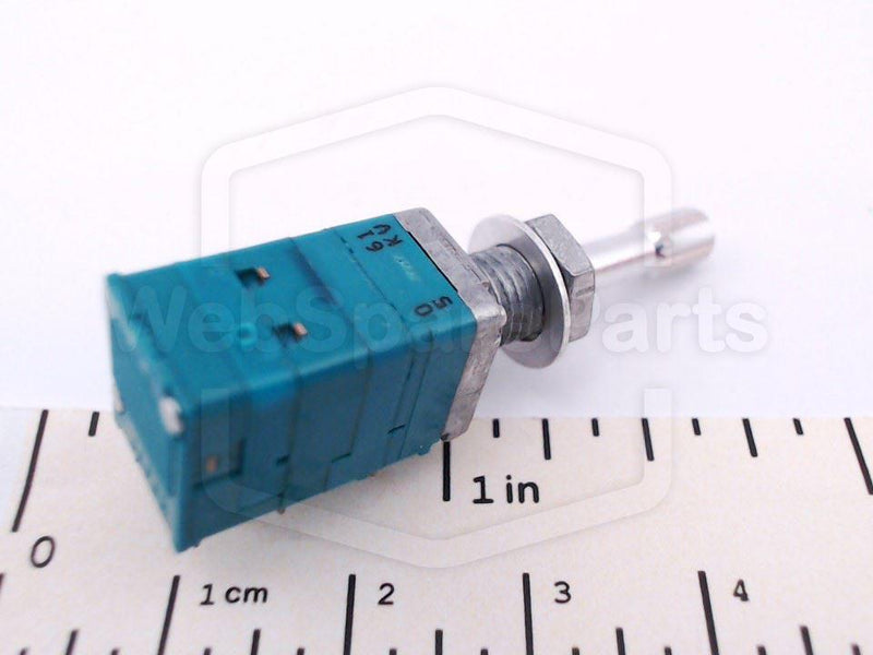 Potentiometer Car Radio 2 x 100K + Momentary Switch